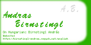 andras birnstingl business card