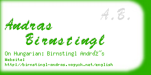 andras birnstingl business card